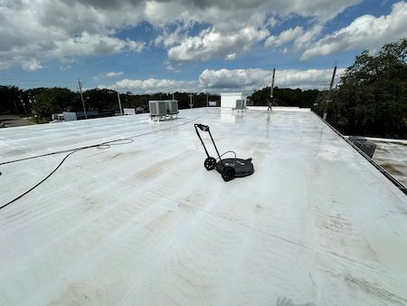 Roof Cleaning